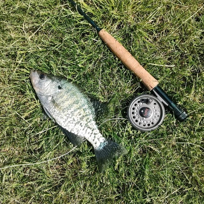 crappie fishing with fly rod Matt Johnson Outdoors Crappie Fishing: Fast Action, Good