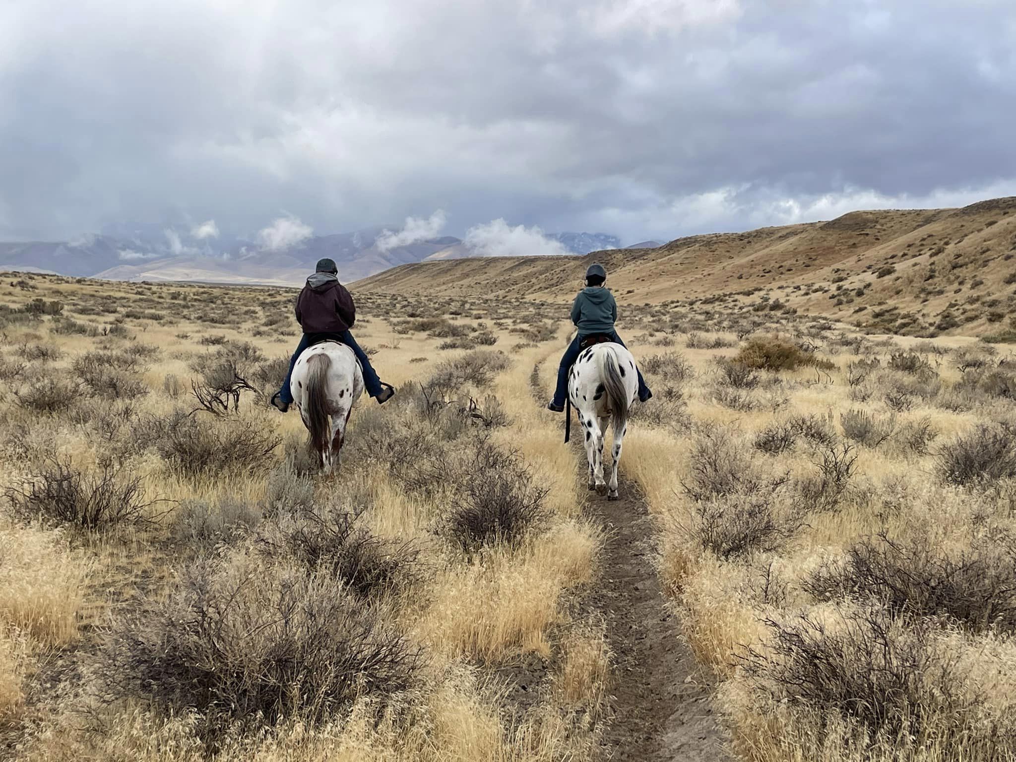 The Great Owyhee Pie Ride