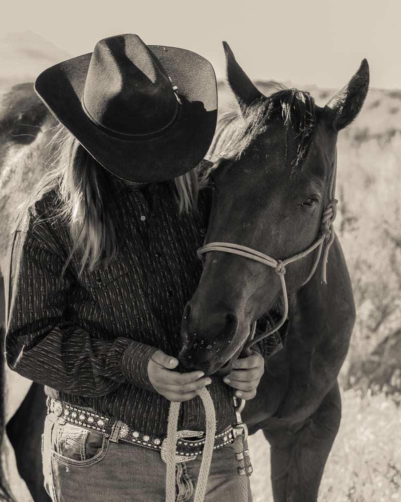 Just want to say thank you to... - Shelbys performance horses | Facebook