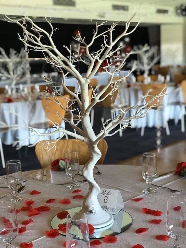 Our Manzanita Trees were the perfect choice for the Year 6 Graduation ...