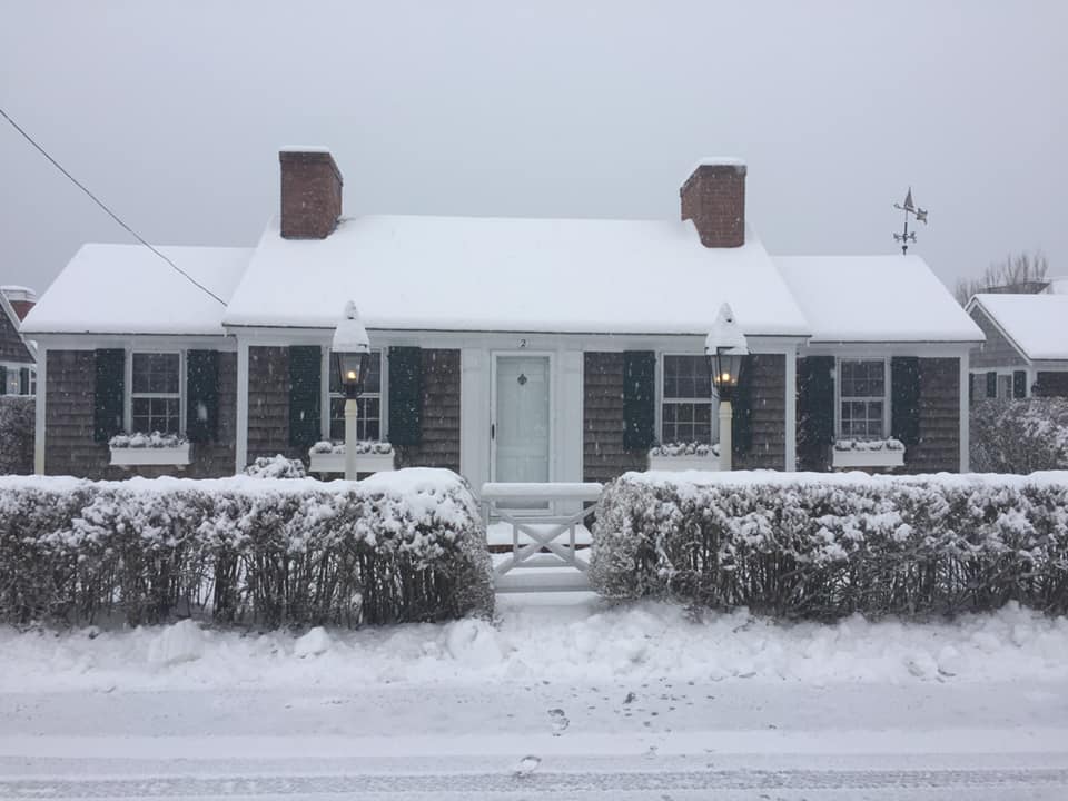 Delft Haven Presidents Day snow! Facebook
