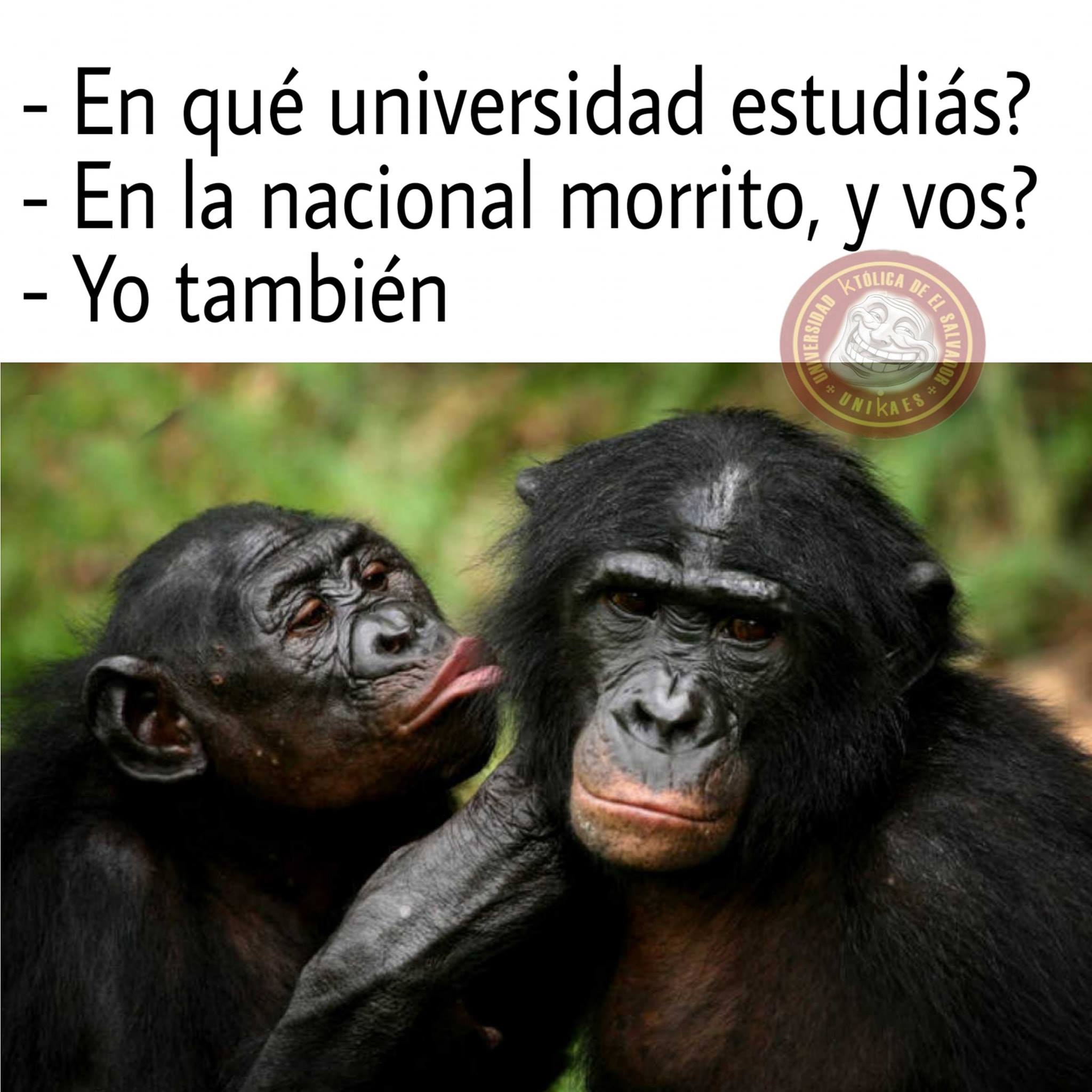 Memes Unicaes - Aclaro que es respuesta a 
