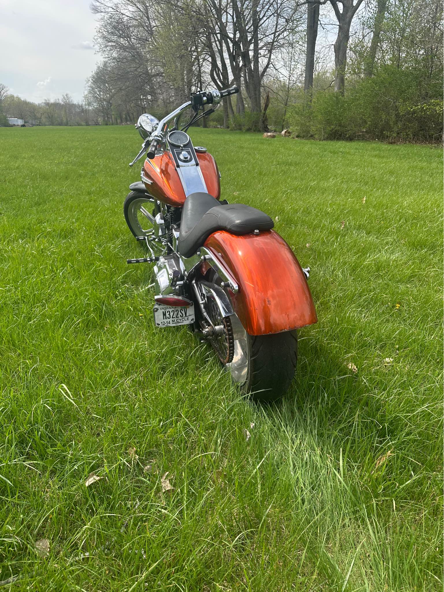 06 springer soft tail - Motorcycles & Scooters - Rochester, Indiana ...