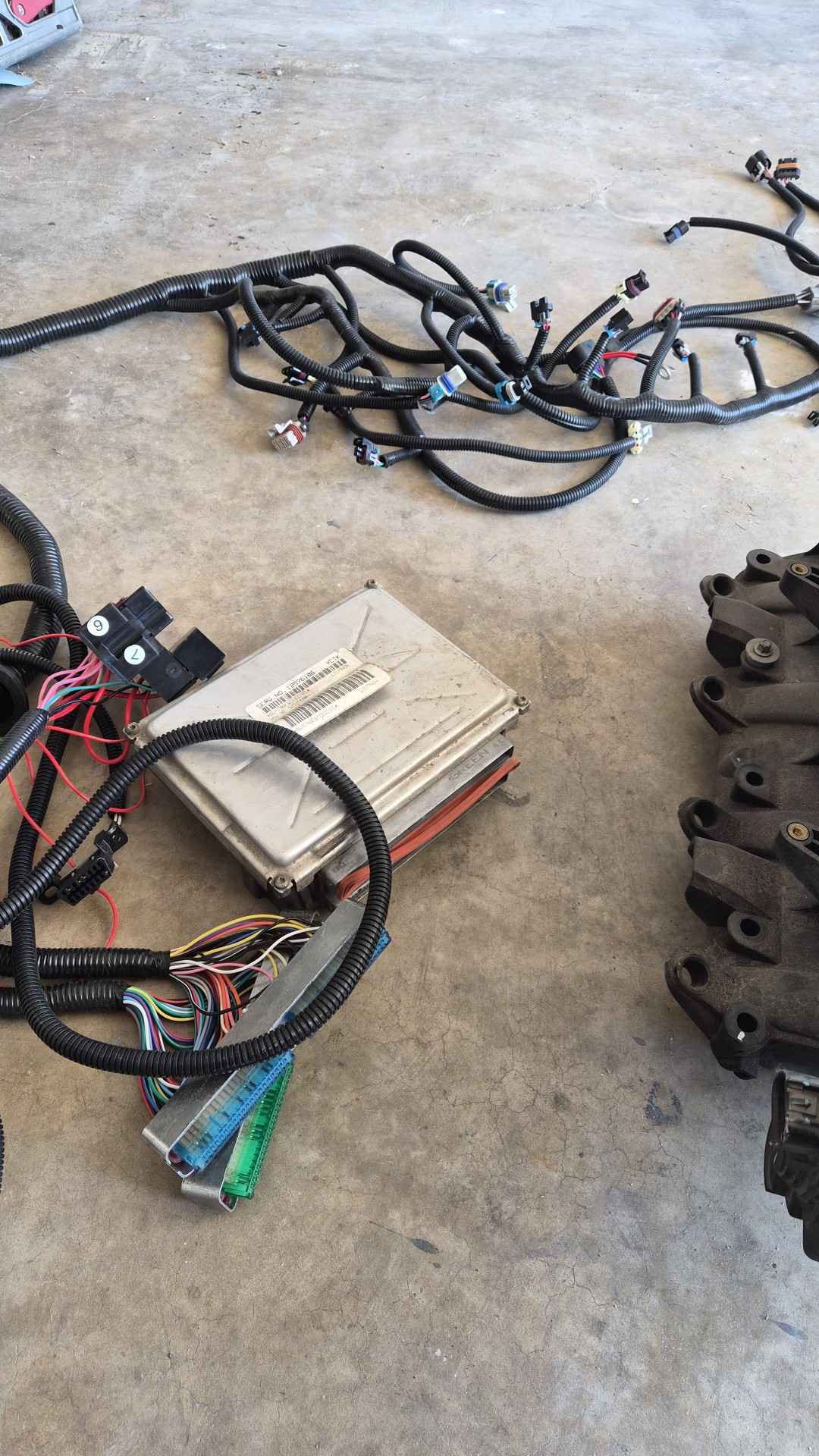 Ls swap harnesses and computer - Saddles & Tack - San Antonio, Texas ...