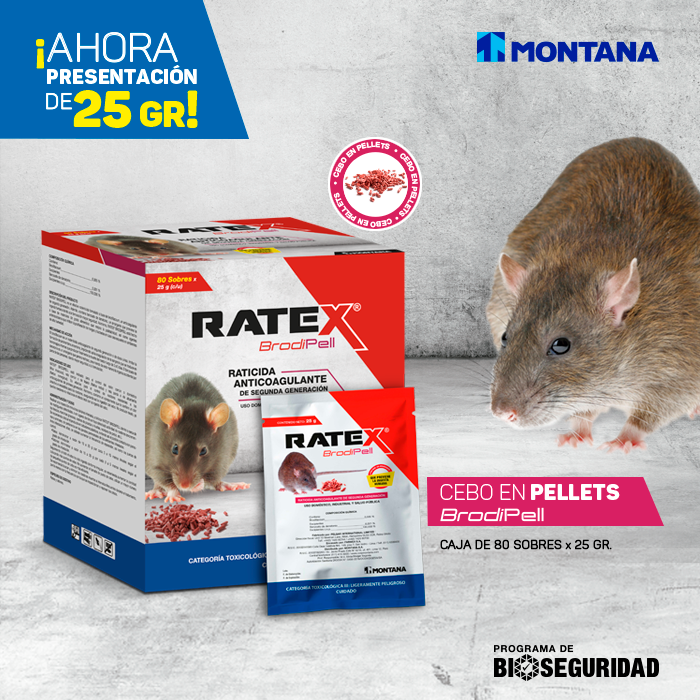 Montana - 🐀 RATEX® Brodipell ¡Encuéntralo en nuestra nueva presentación ...