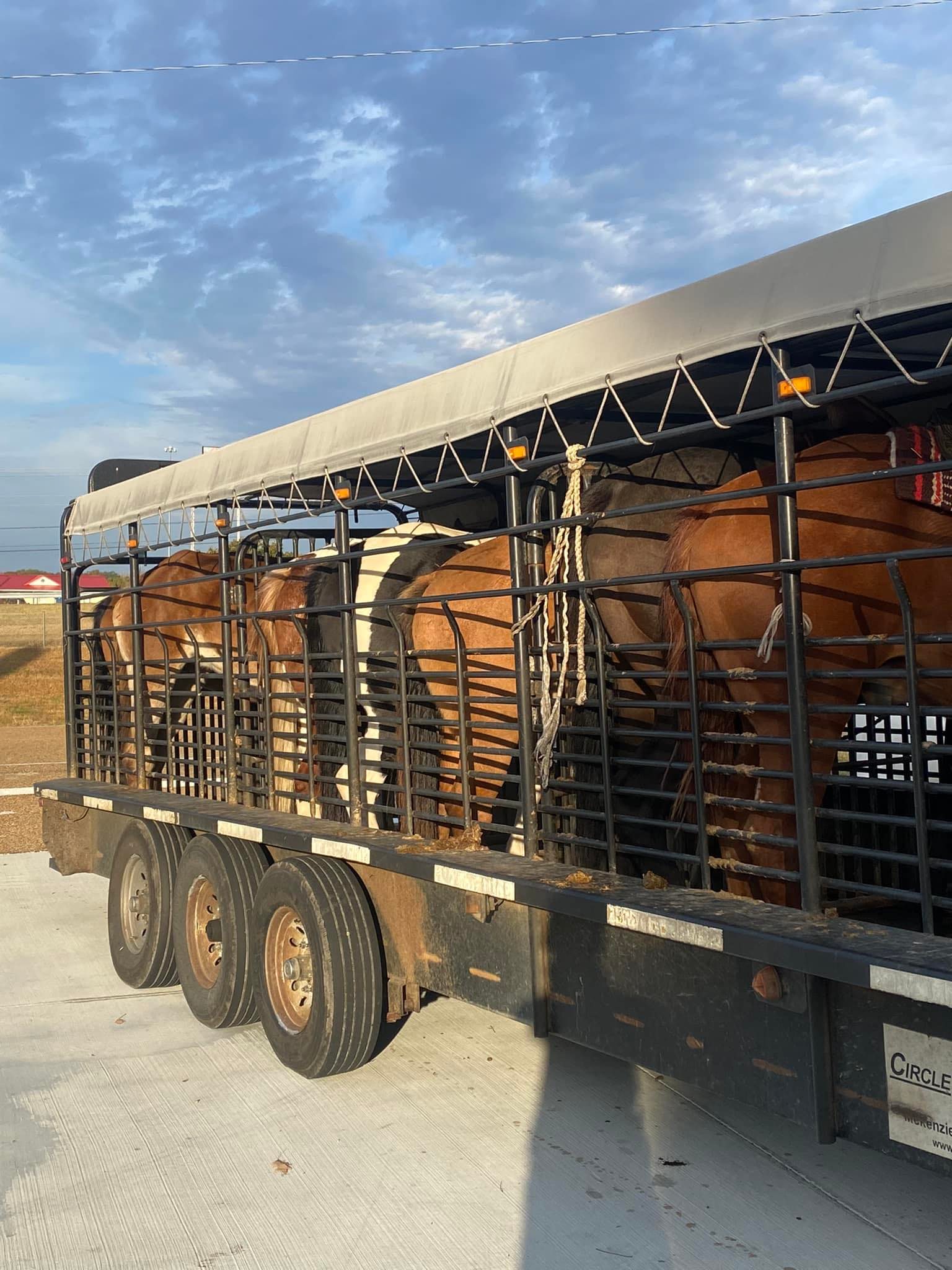 C&C RANCH LLC | Comer GA