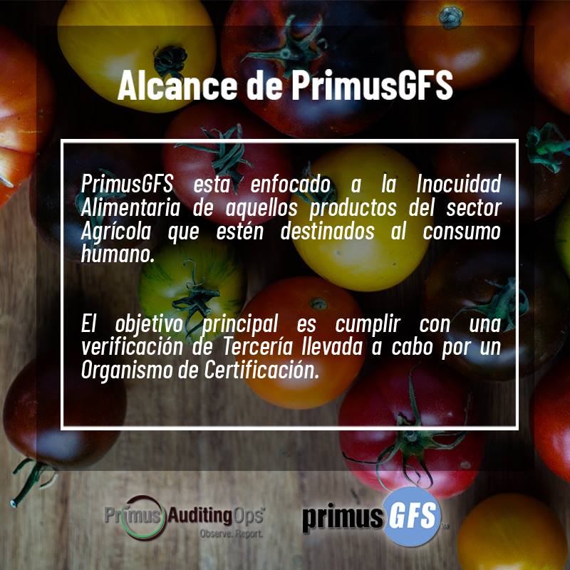 El objetivo principal... - Primus Auditing Operations México | Facebook