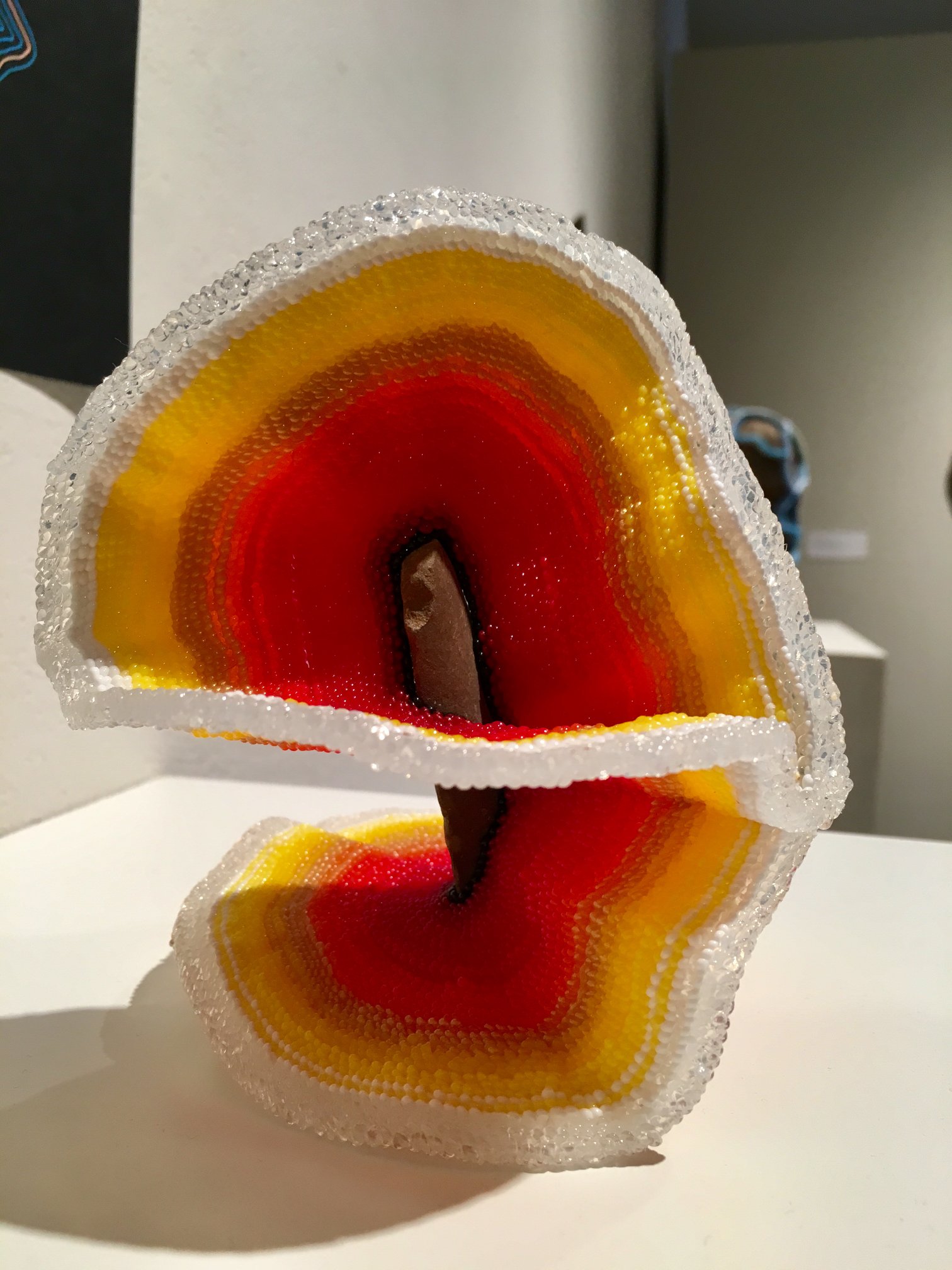 Now in the Dolphin Gallery: “Same View, Different Lens” by Joy O