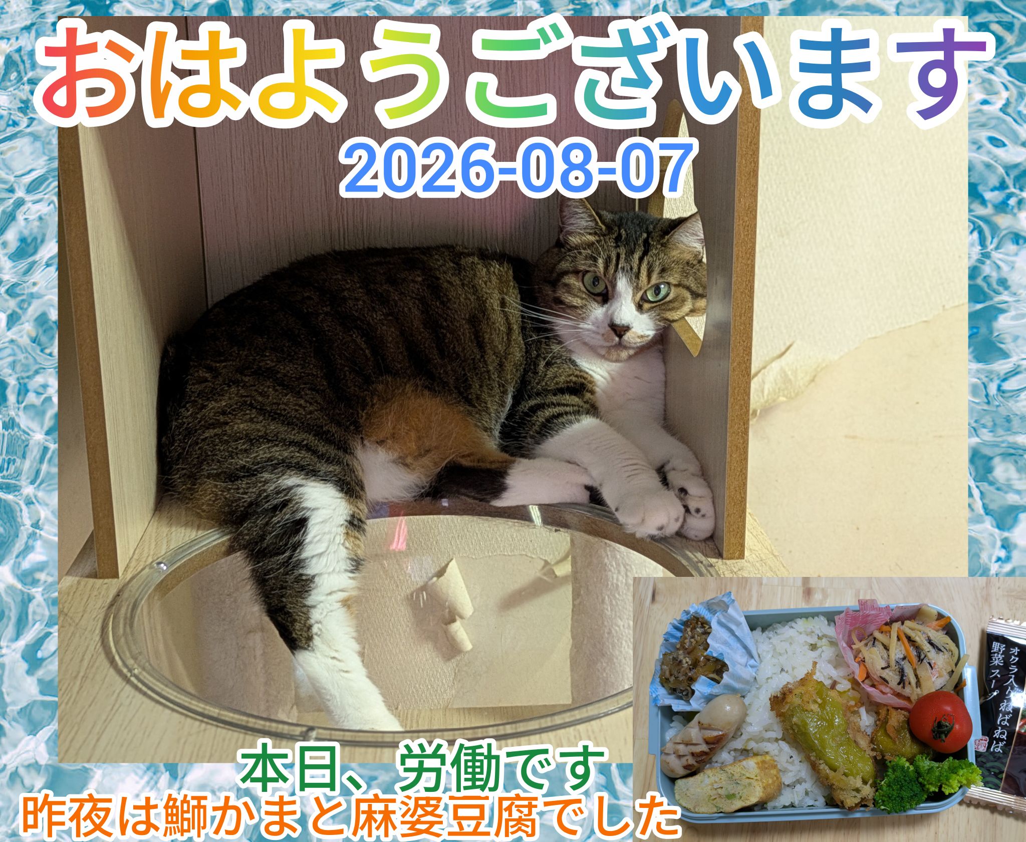朝のご挨拶 おはようございます ざいます ます 2026-08-07 本日、 労働