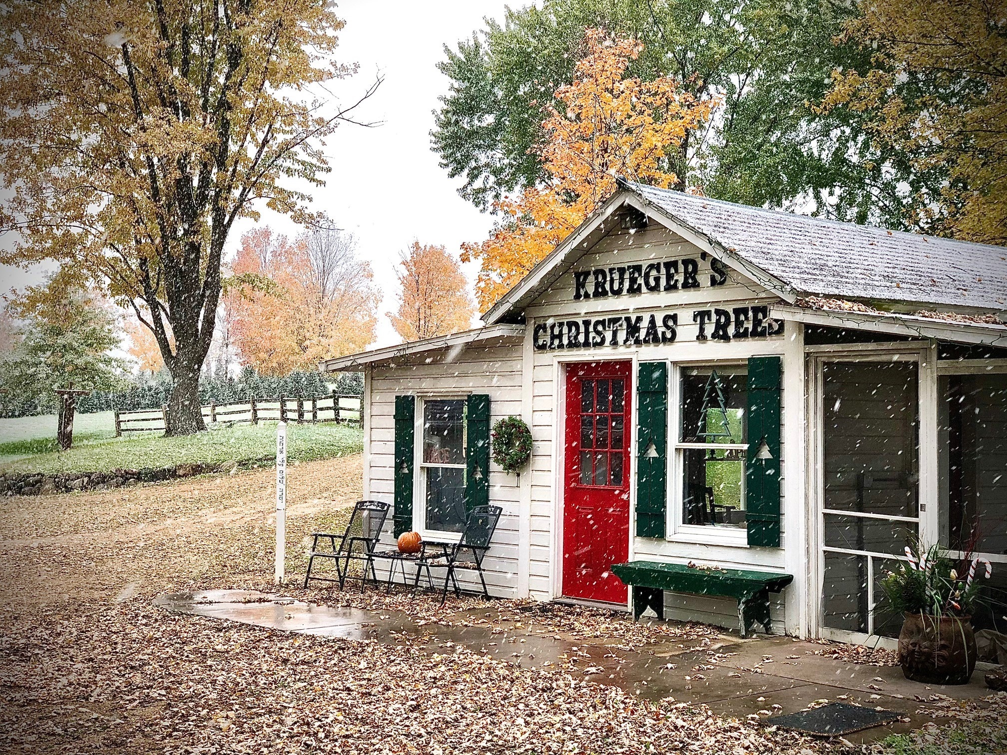 Krueger's Christmas Tree Farm | Lake Elmo MN