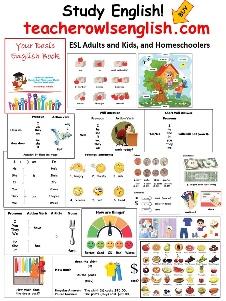 Your Basic English Book