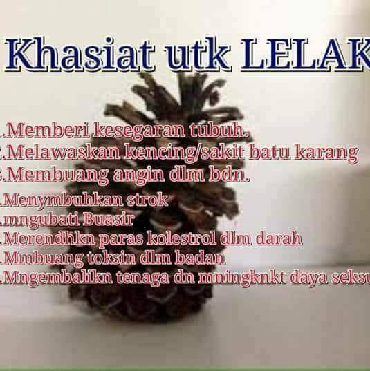 Nenas Batu Home Facebook