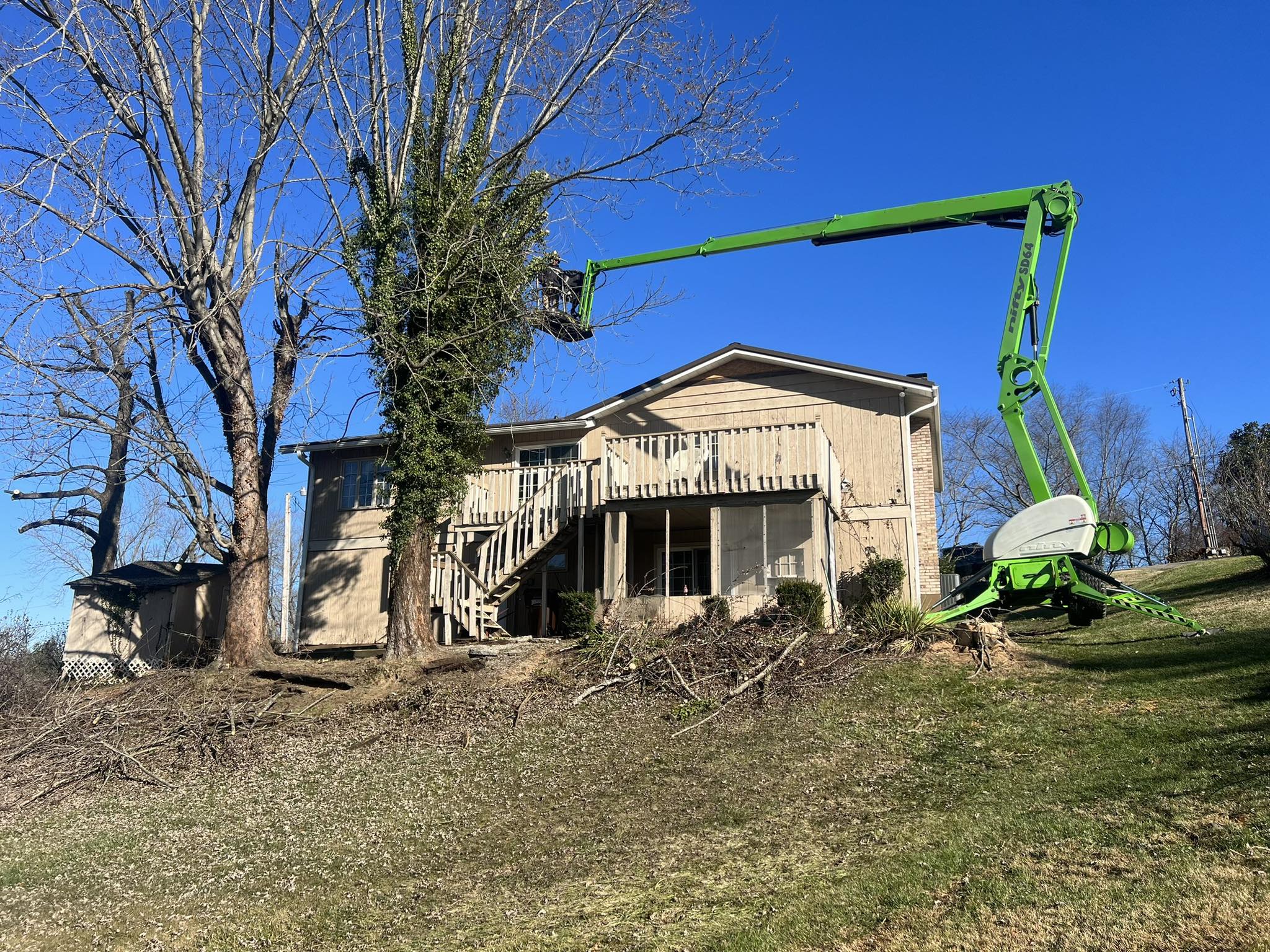 Riggs Tree Service, LLC | Wheelersburg OH