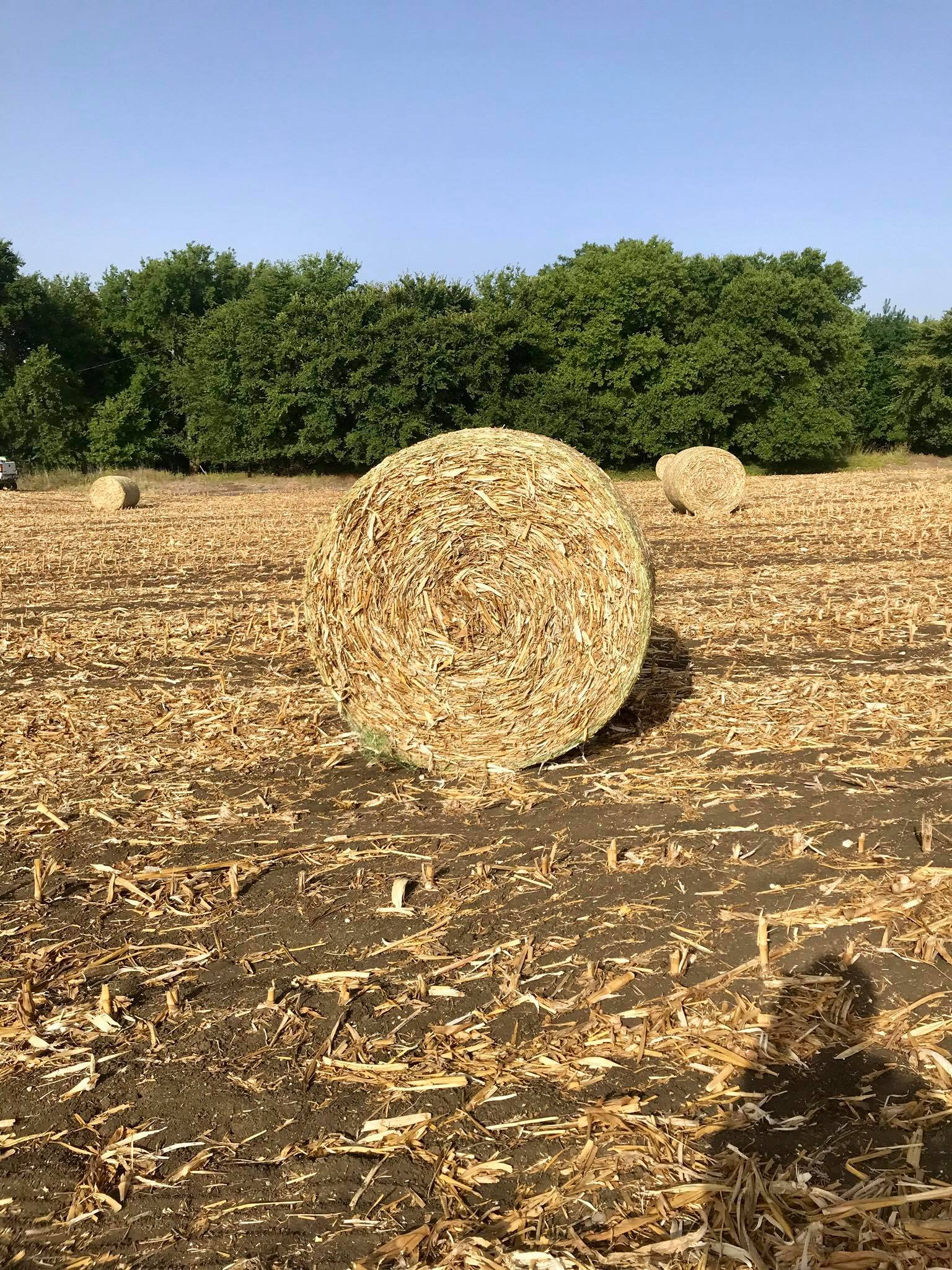 Mabry Custom Hay Baling and Sprigging | Hillsboro TX