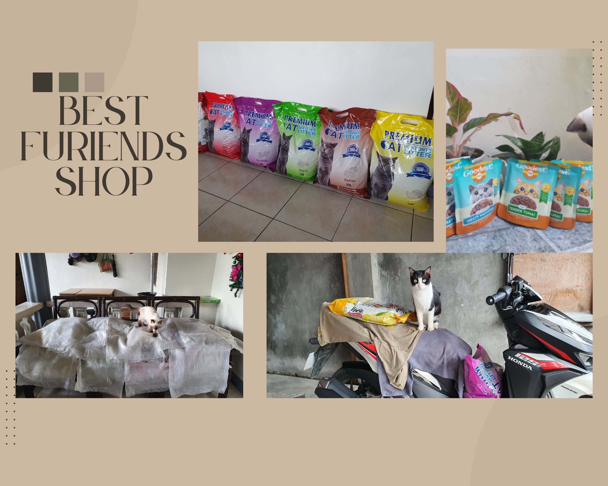 Best FURiends Shop | Magalang