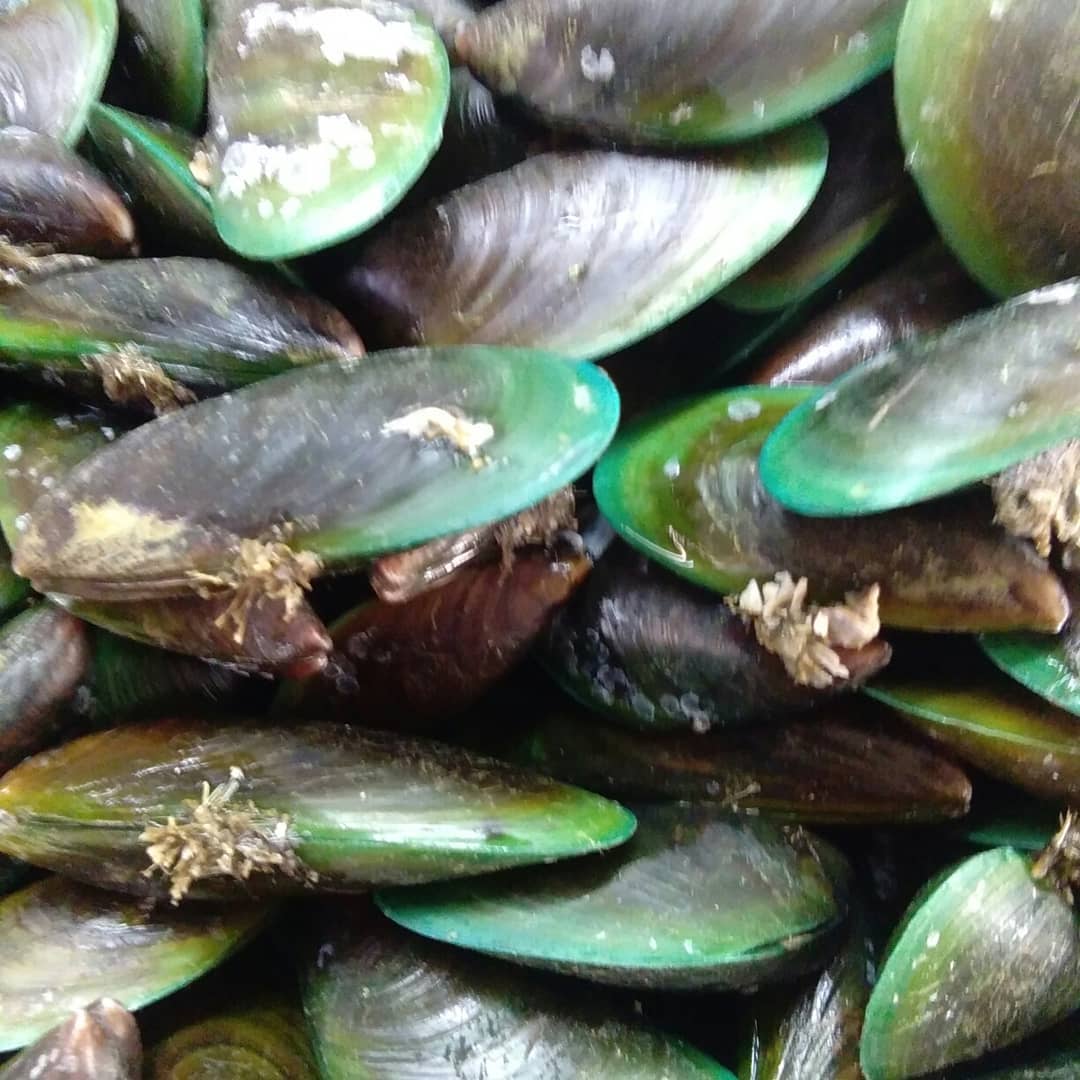 💞Assalamualaikum.. Selamat Pagi💞... - Elani's Fish Market