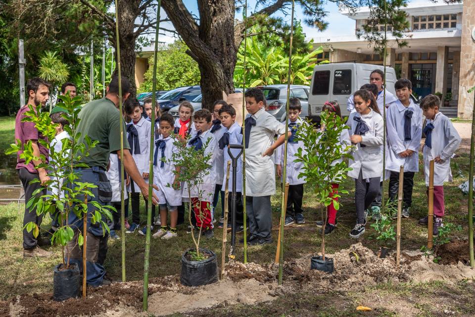 ¡Recibimos en la... - TAGMA - Una Escuela Sustentable | Facebook