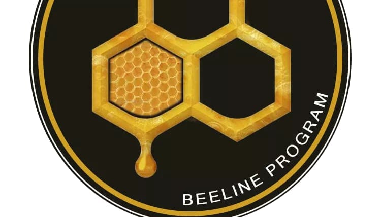 Beeline Program by Jonalyn