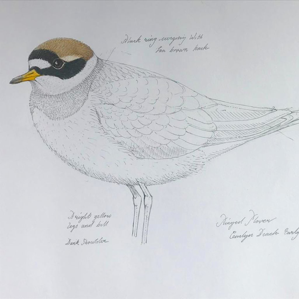 Richard Partis Artist
