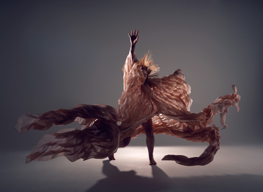 Northcote Photo Studio - 💥🖤 Powerful, dynamic, beautiful, indomitable ...