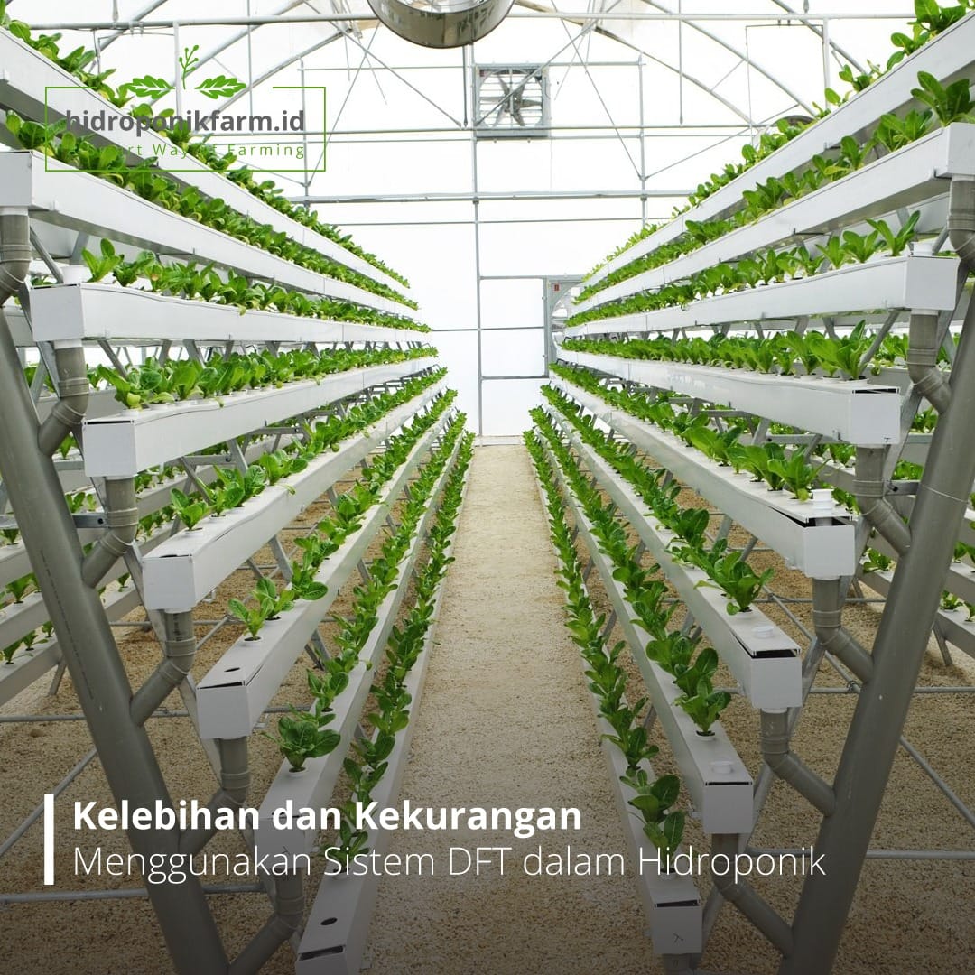 DFT atau Deep Flow Technique adalah... - Hidroponikfarm.id | Facebook