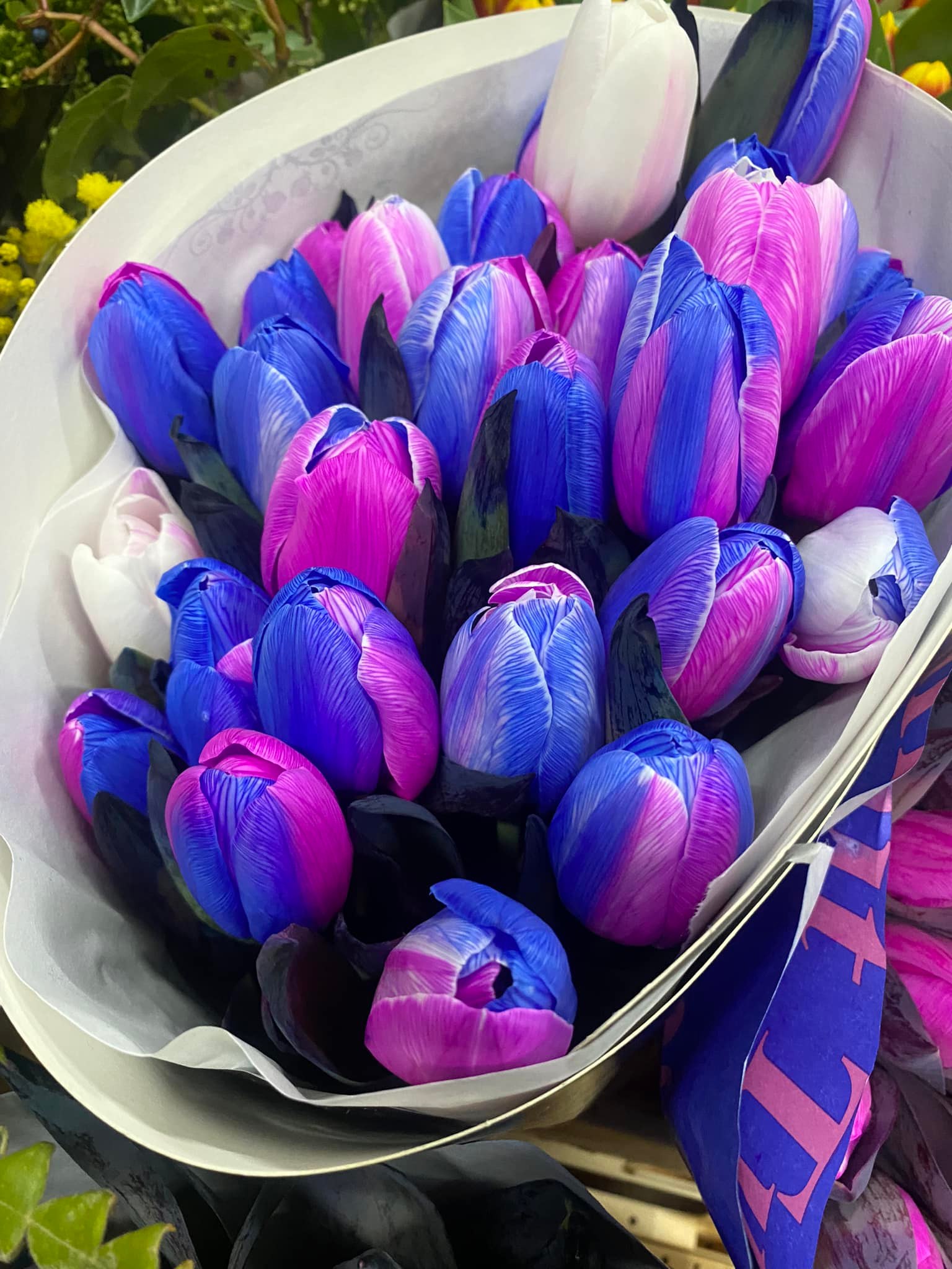Flora Express