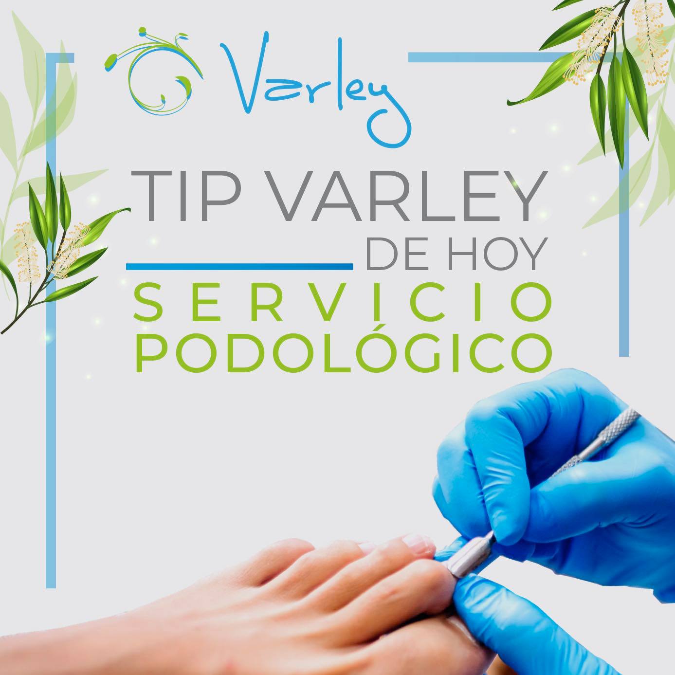 Varley Tea Tree Oil | Mexico City