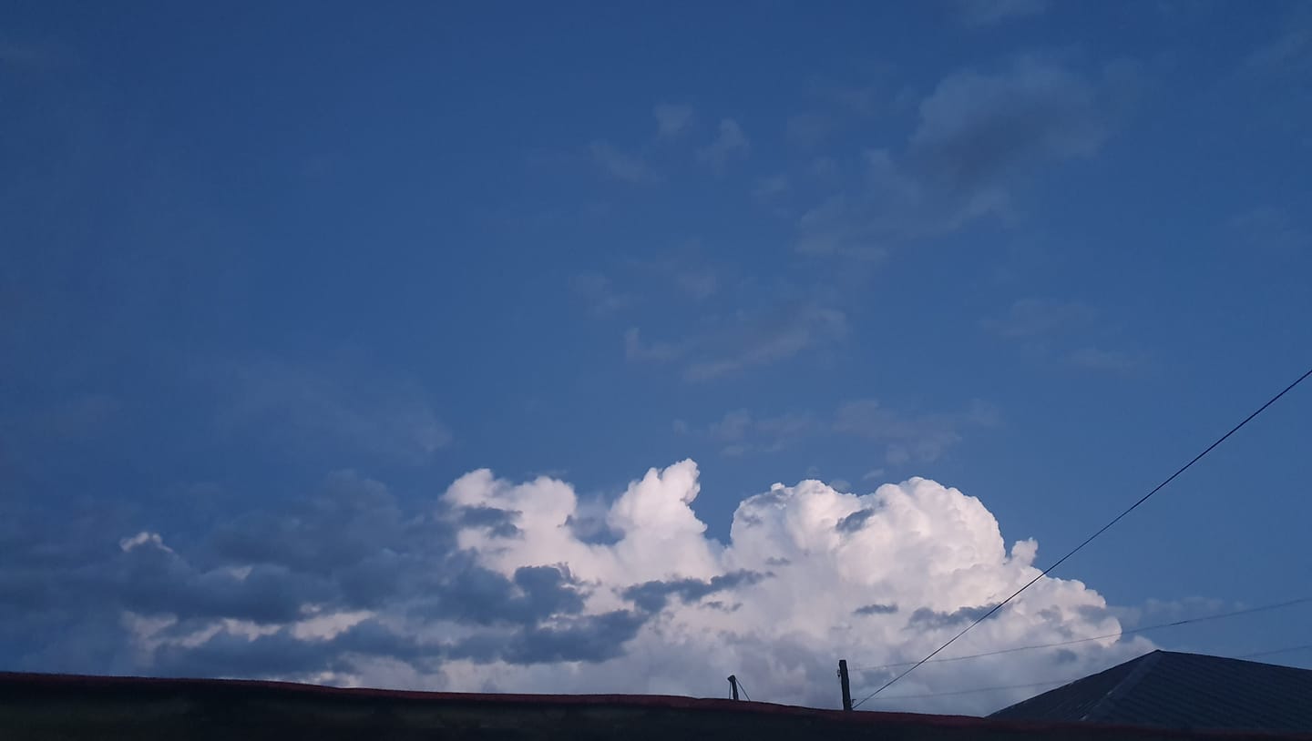 Solongos uls dahi mongolchuud