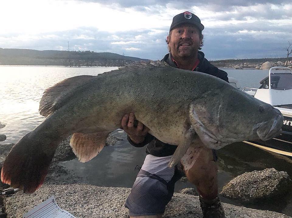 The dam that keeps on giving !!... - FishTec Solutions