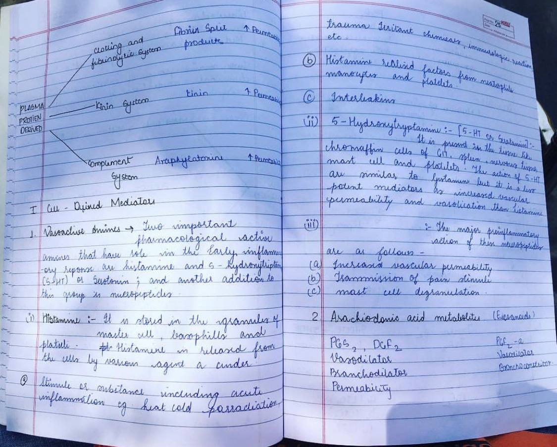 Assignment killer | Indore
