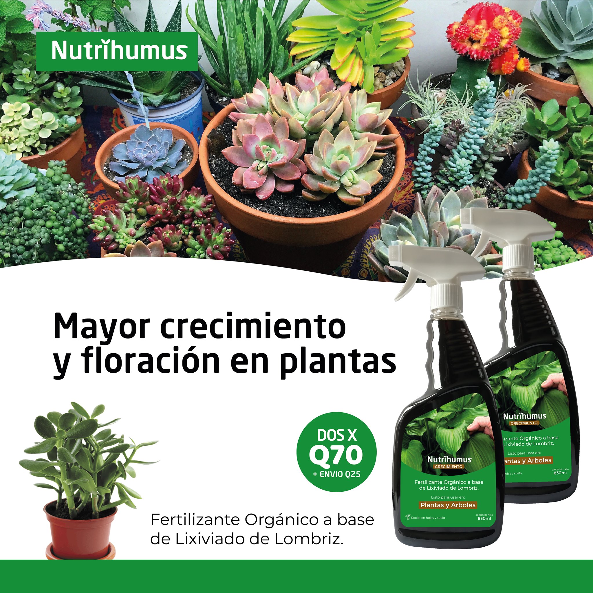 Nutrihumus