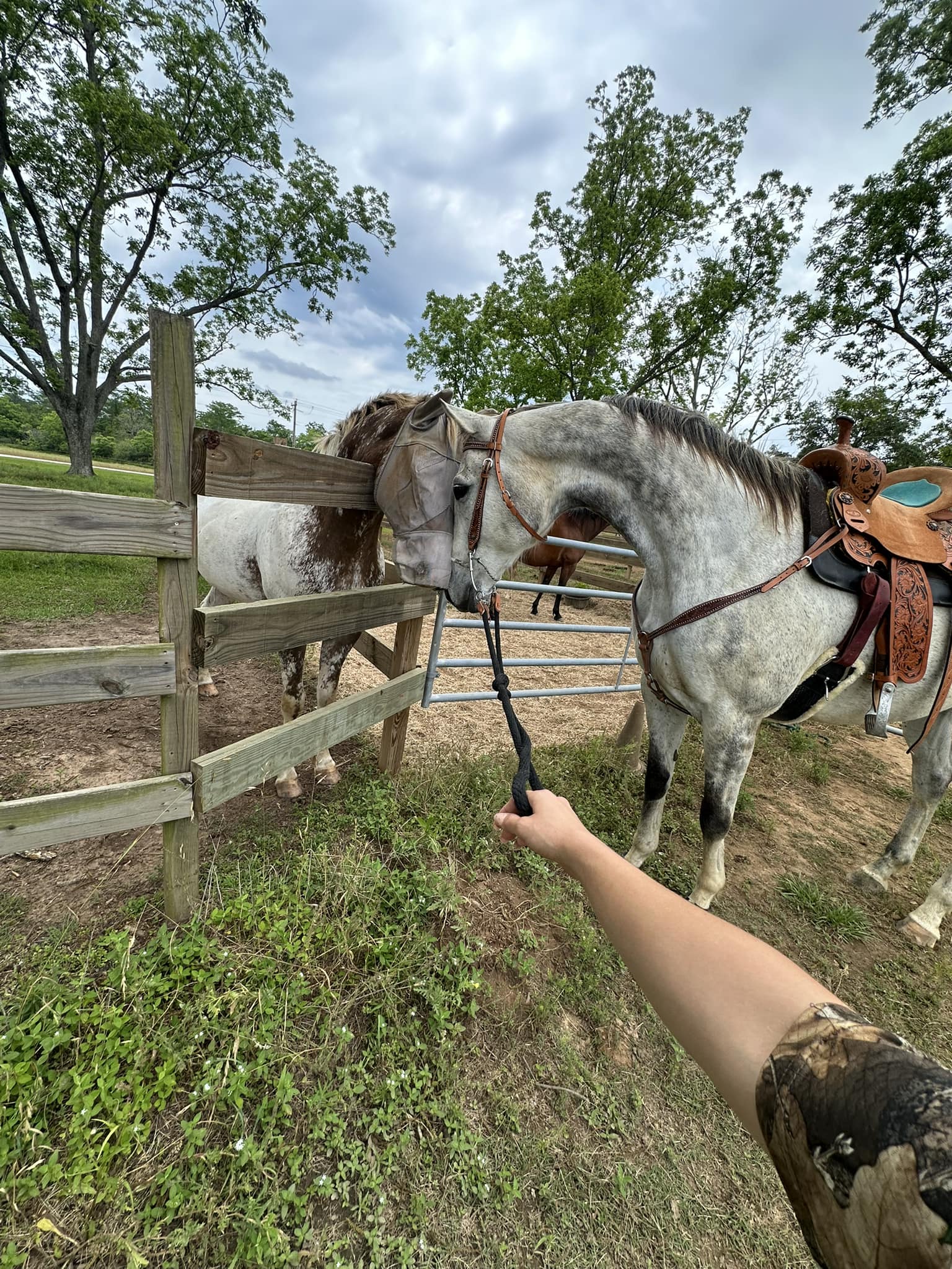 Selle Western Enfant Buddy Seat - Siège Arrière Pour équitation à Deux