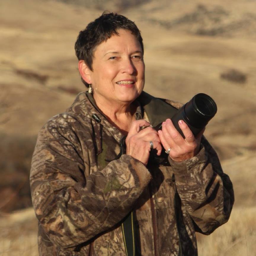 Idaho Birding | Please help with identification of juvenile American ...