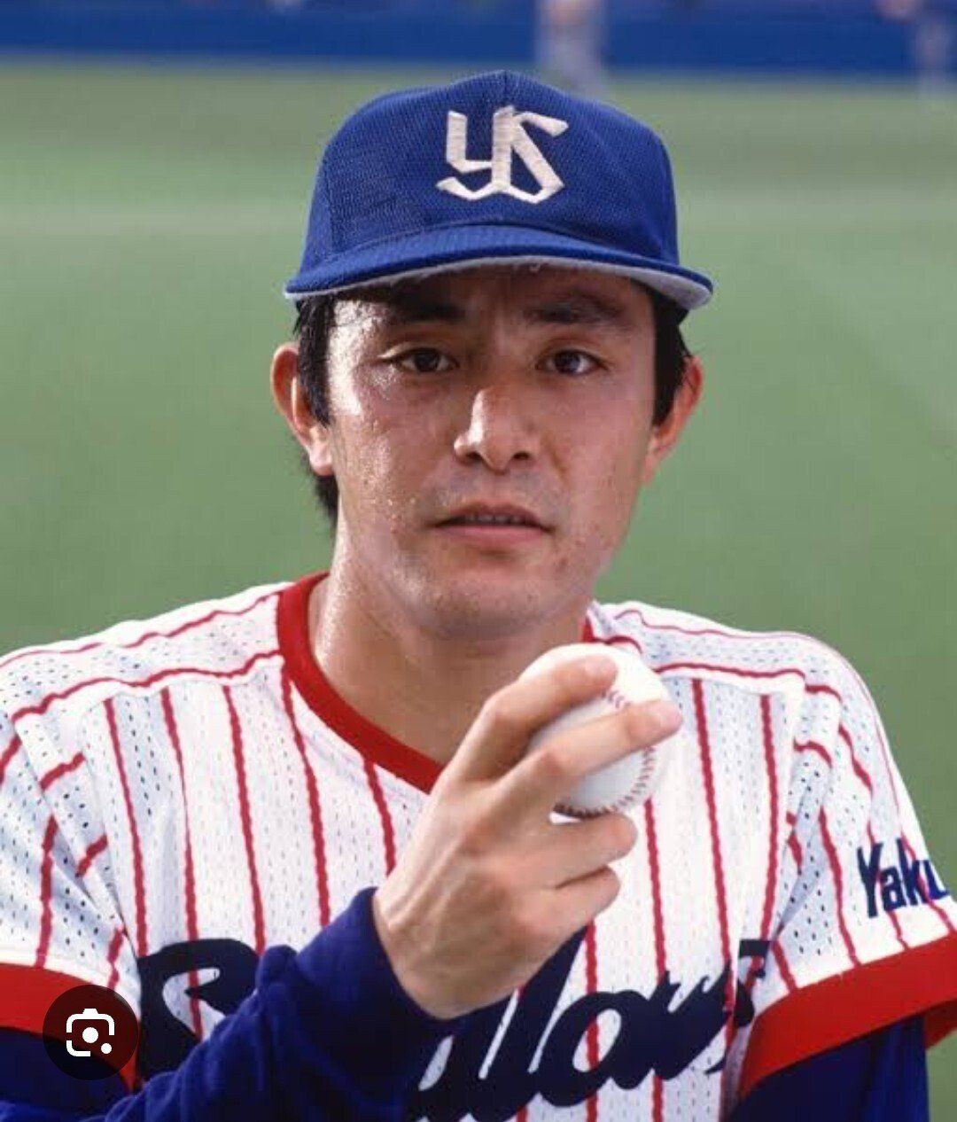 荒木 大輔 若い 頃