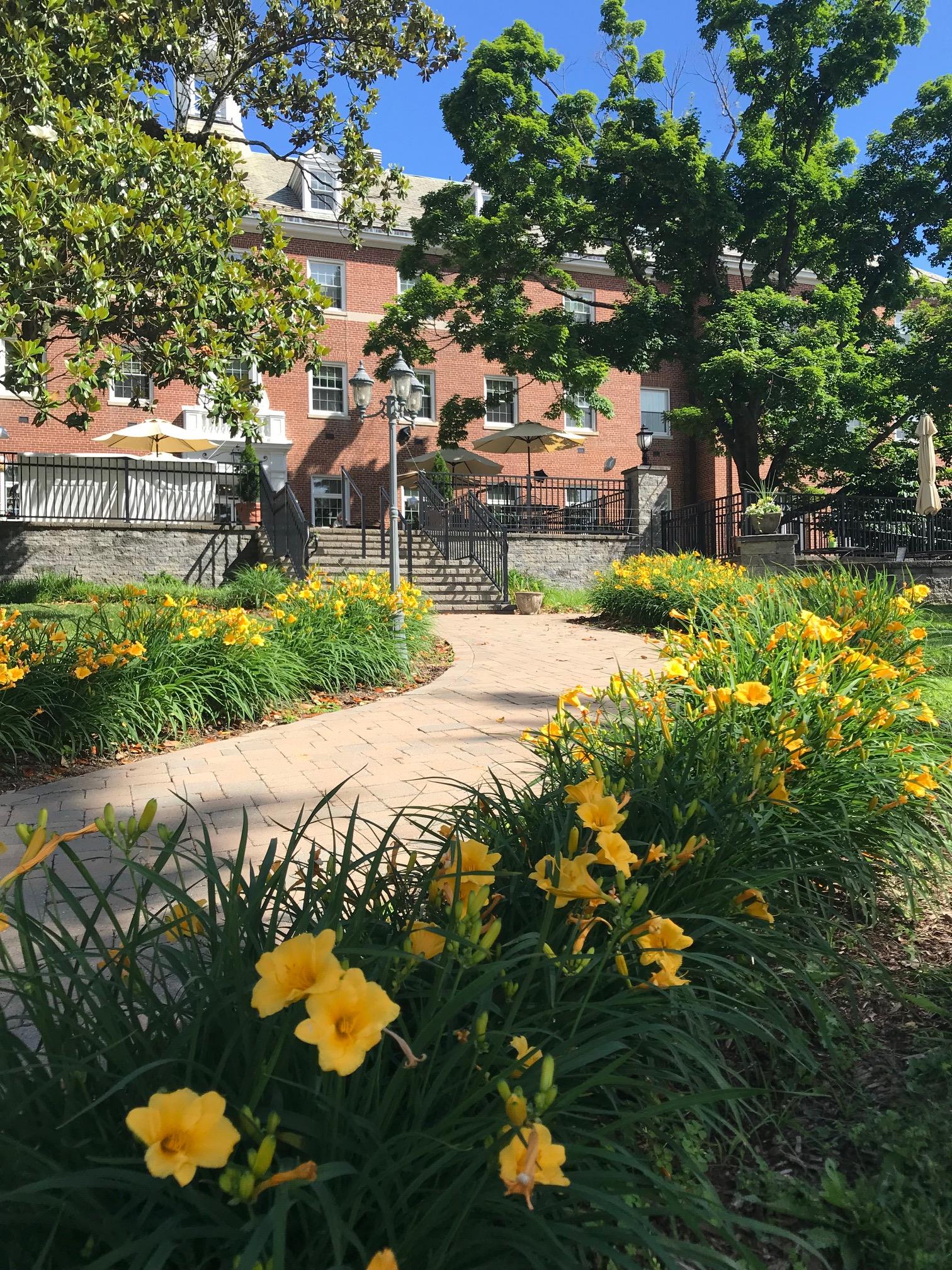 Beautiful photo of... - Springwell Senior Living Community