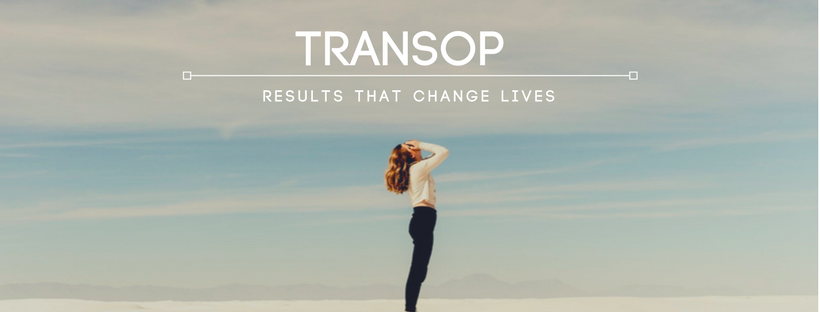 TransOp.com | Guadalajara