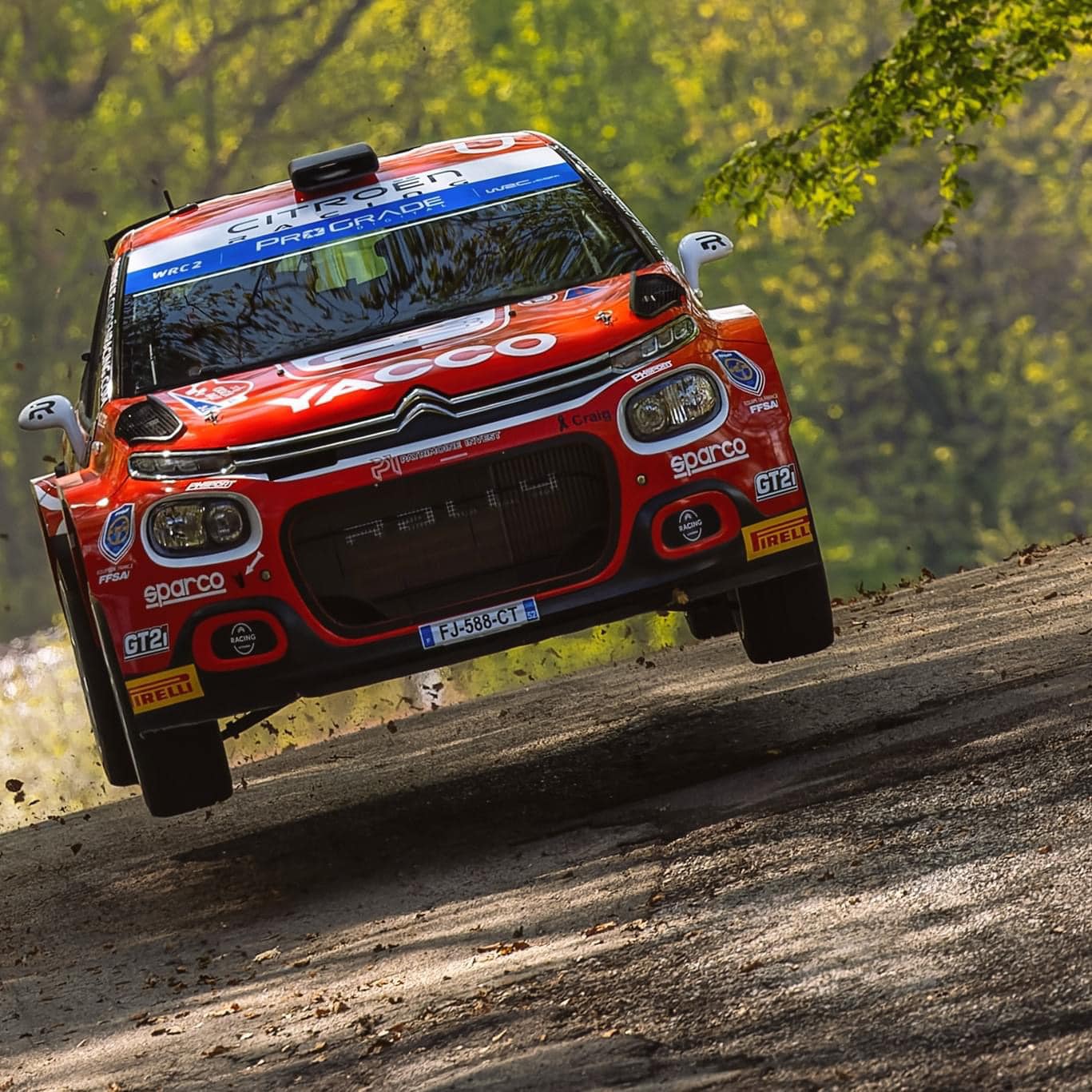 Rally georgia