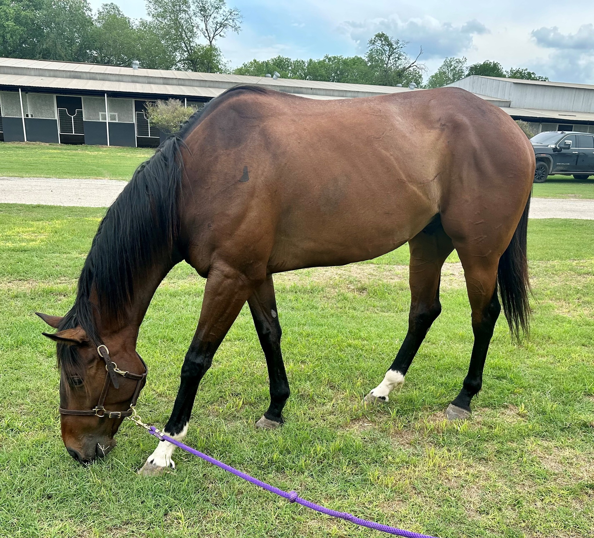 Side Eye Ranch