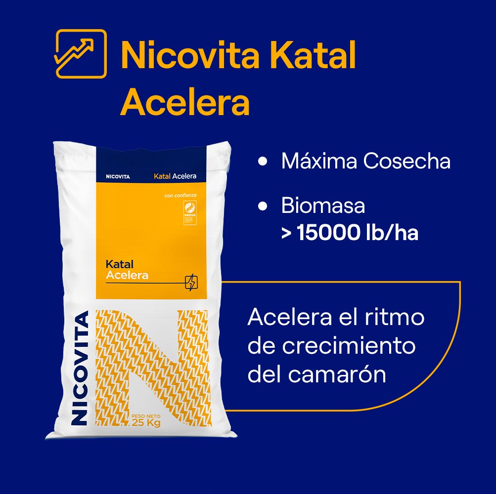 NICOVITA - NICOVITA added a new photo.