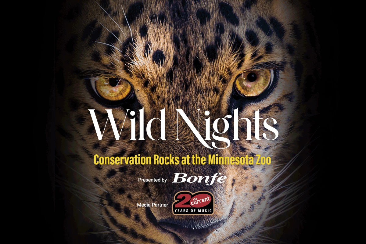 Wild Nights Summer Concert Series