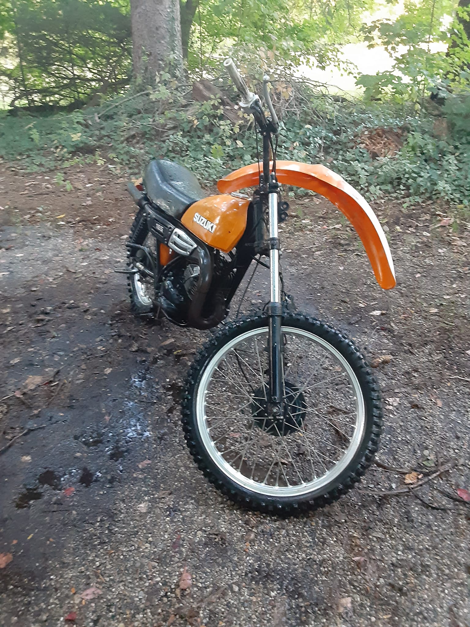 What is the value of a 1979 Suzuki DS185?