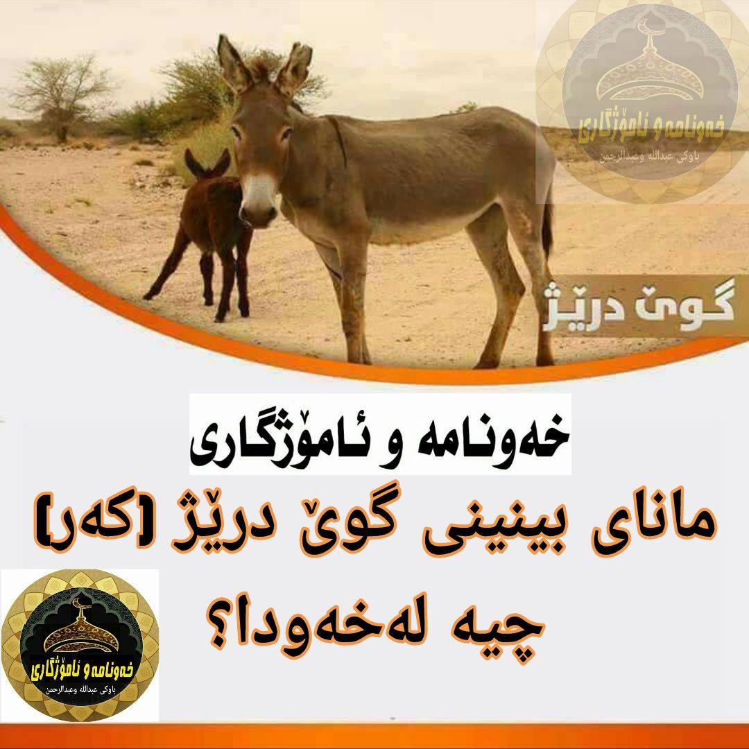 مانای بینینی کەر گوێ... - خەونامەو ئامۆژگاری و ڕێنمایی شەرعی | Facebook
