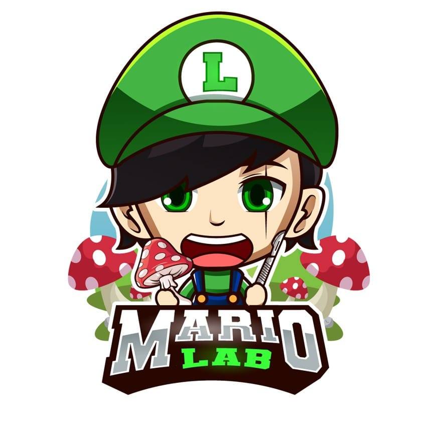 Mario Lab