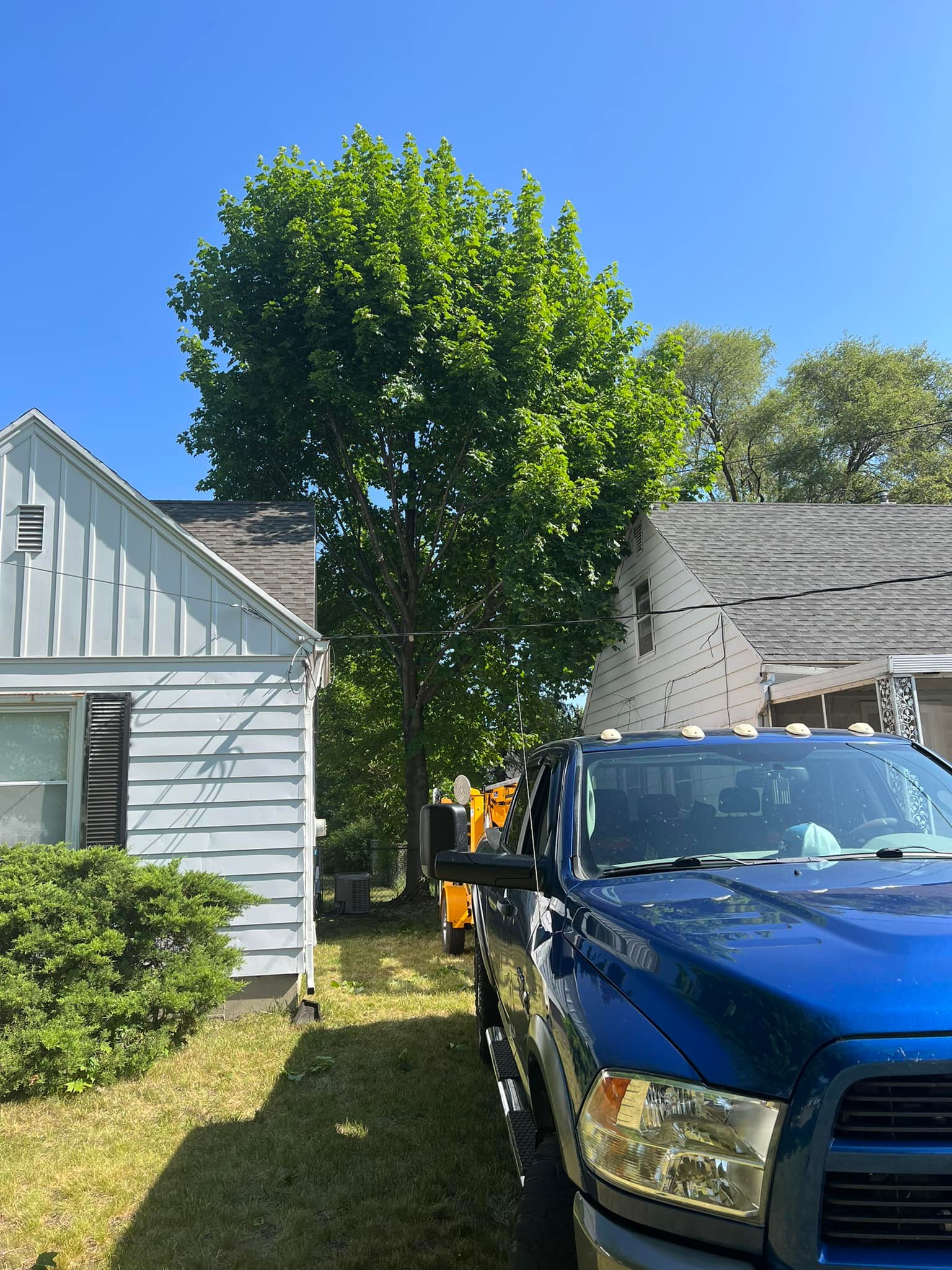 Trim off the house. Call... - Warner's Pro Tree Service, LLC