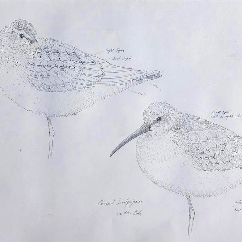 Richard Partis Artist