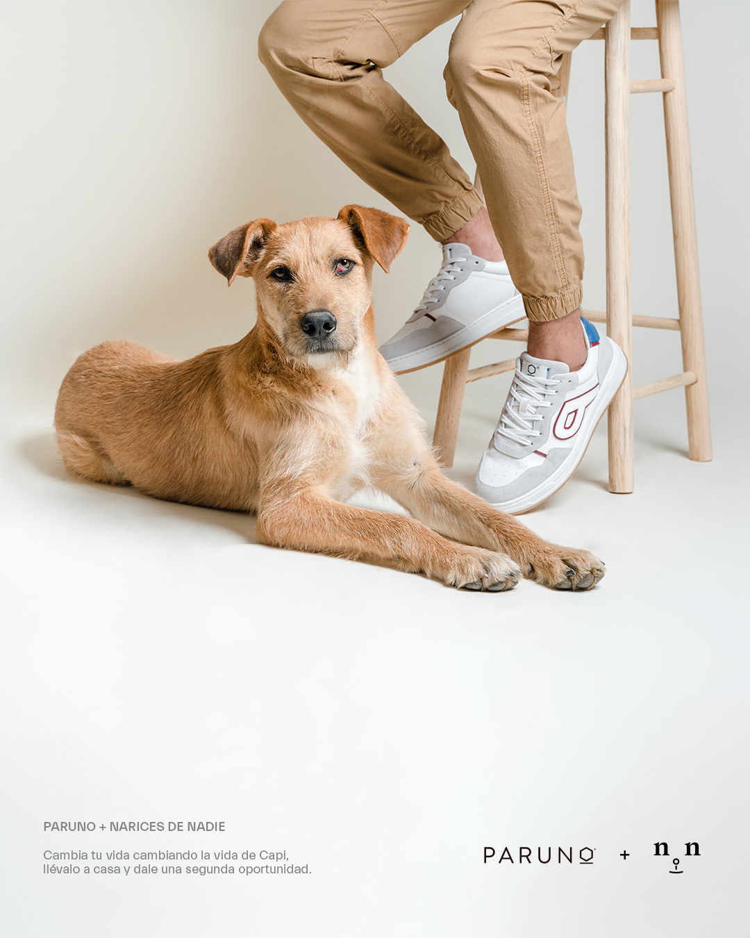 Paruno - ¡Conoce a Capi, el perrito que robó nuestros...