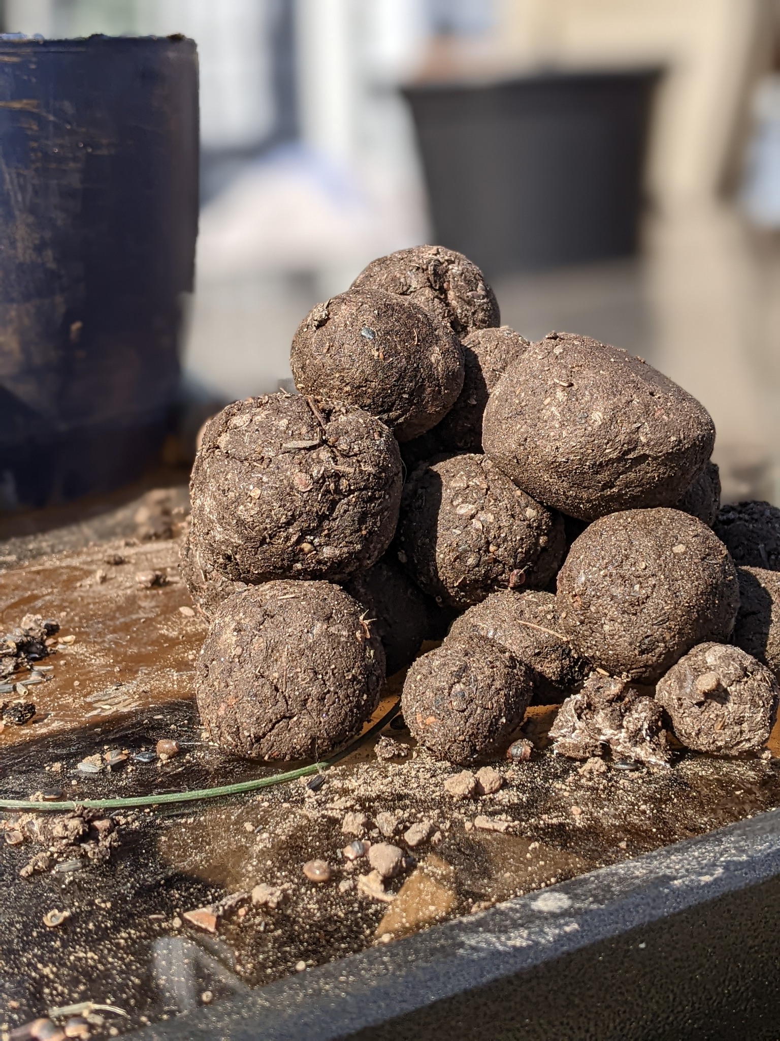 Native plant wildflower seed bombs recipe