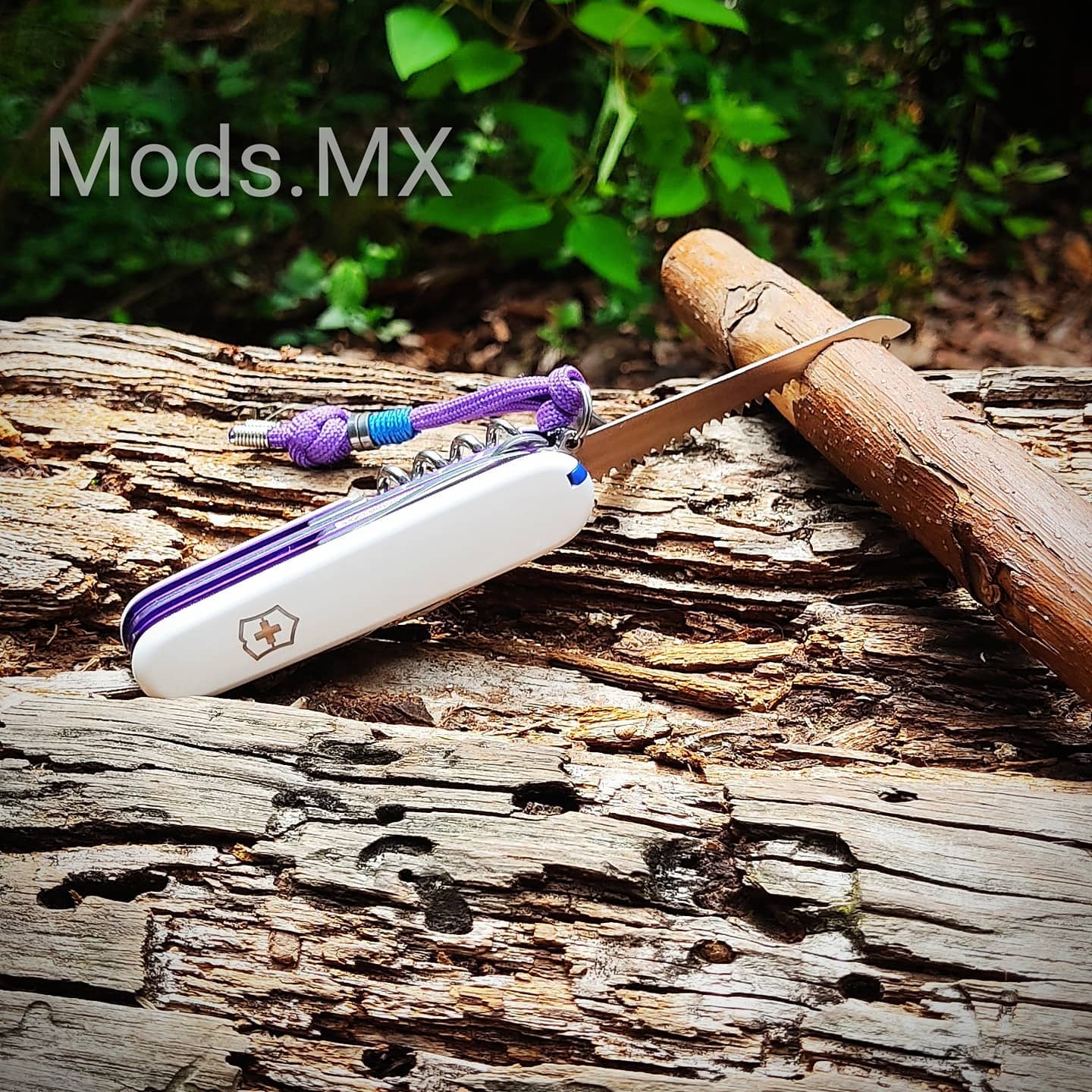 mods-mx-mods-mx-added-a-new-photo