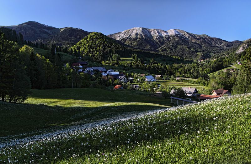 KŠD Hrušica - KŠD Hrušica added a new photo.