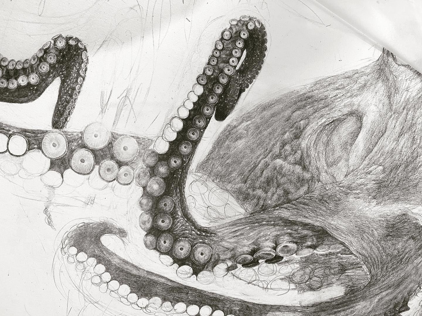 Tim Li Art - I cannot emphasise how grateful I am of all...